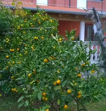 Anny Apartamento *