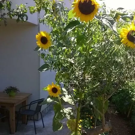 Apartament Anny